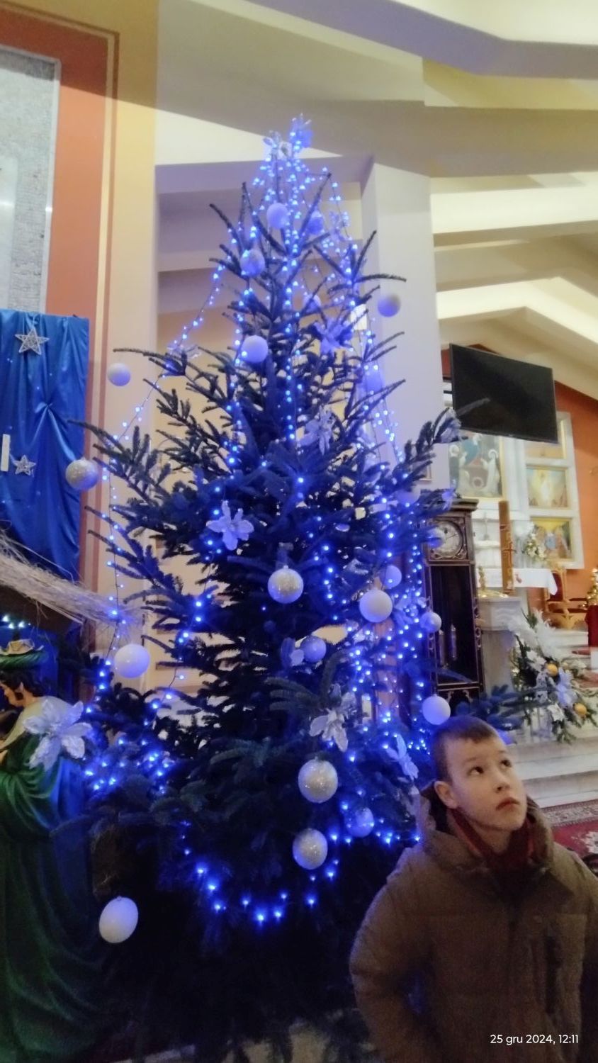 20241225_121159134_HDR.jpg